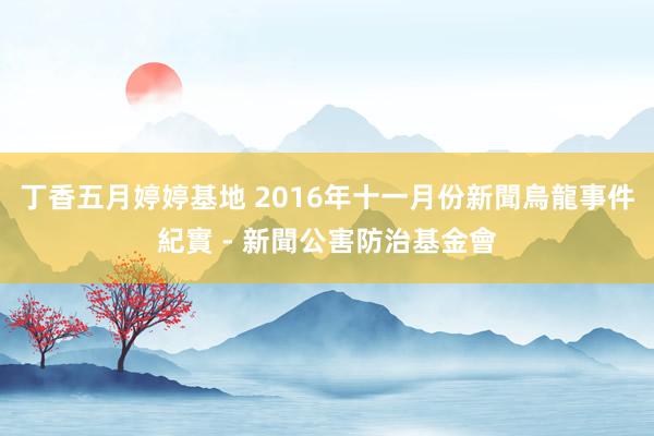 丁香五月婷婷基地 2016年十一月份新聞烏龍事件紀實 - 新聞公害防治基金會